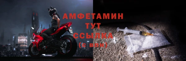 шишки Алзамай