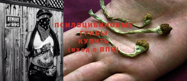 шишки Алзамай