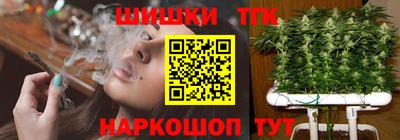 шишки Дубна