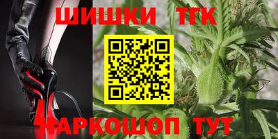 шишки Дубна