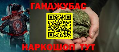 шишки Дубна