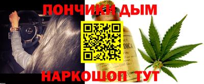 шишки Дубна